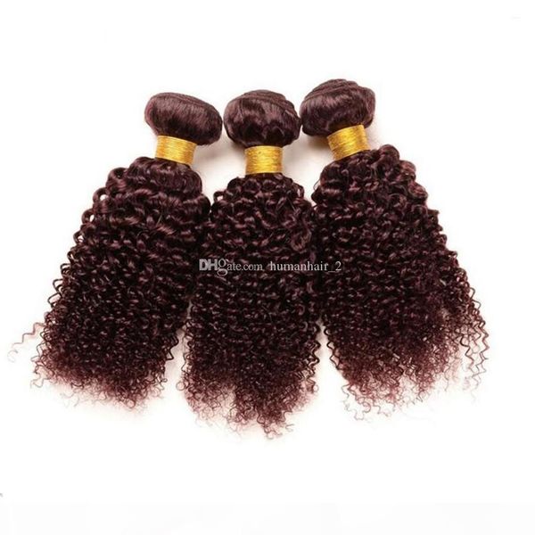 

kinky curly human brazilian virgin hair 99j wine red afro kinky hair extensions 3pcs lot no tangle no shed quality hair, Black;brown