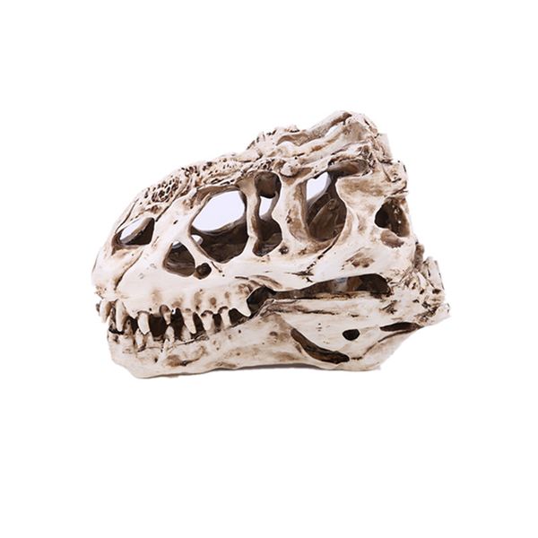 

interior decoration personality decoration dinosaur skull specimen resin skull halloween