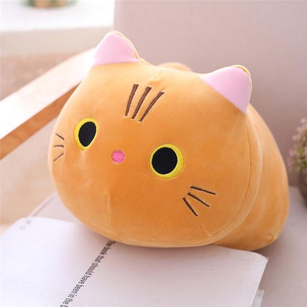 

25 35 50см cute cat плюшевые игрушки мягкие чучела kawaii подушка cat плюшевые куклы для детей подарочные jlluqm mx_home
