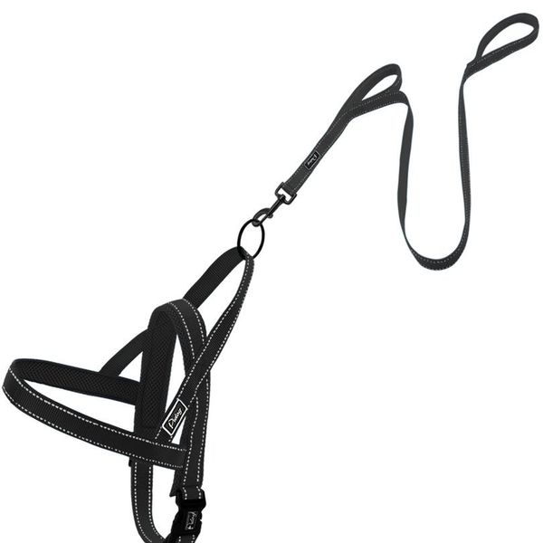 

no pull reflective dog harness leash set pet vest lead for small meduim large dogs perfect for daily training walki sqcrys