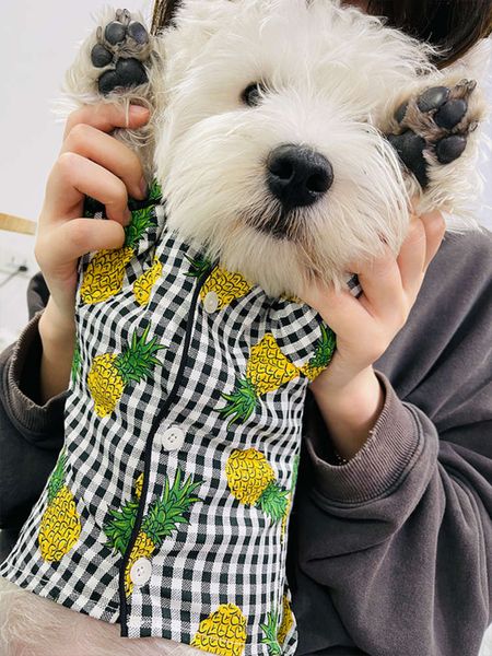 

cloth autumn and plaid shirt pet small dog blue teddy drs cat winter