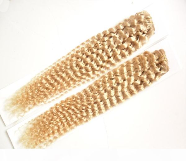 

613 bleach blonde brazilian kinky curly virgin human hair weave bundles 2 piece lot double weft quality,no shedding,tangle free, Black