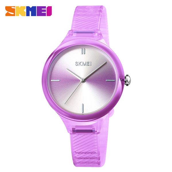 

dress womens quartz watch fashion casual wristwatches simple design dial watches girls brand skmei ladies hours clock reloj, Slivery;brown