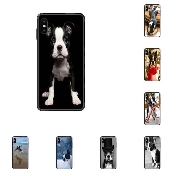 

boston terrier for iphone 11 12 pro max plus pro x xs max xr 8 7 6s se 5 5c 5s se 2020 tpu protective cover case