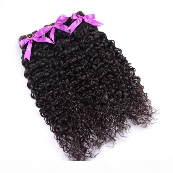 

brazilian virgin hair water wave curly natural wave ocean natural black hair 3pcs 100% unprocessed virgin brazilian human hair ing
