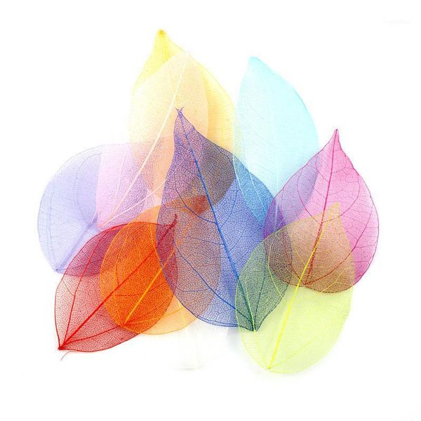 

decorative flowers & wreaths nice gift diy material vein net leaf portable 100pcs pressed flower diamond dried multifunction1