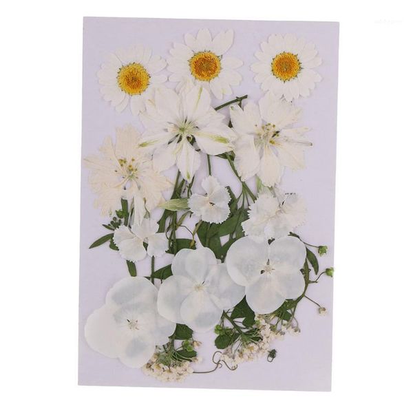 

decorative flowers & wreaths 2-3.5cm multiple mix natural and leaves pressed dried for making handmade soap jewelry diy decorations1