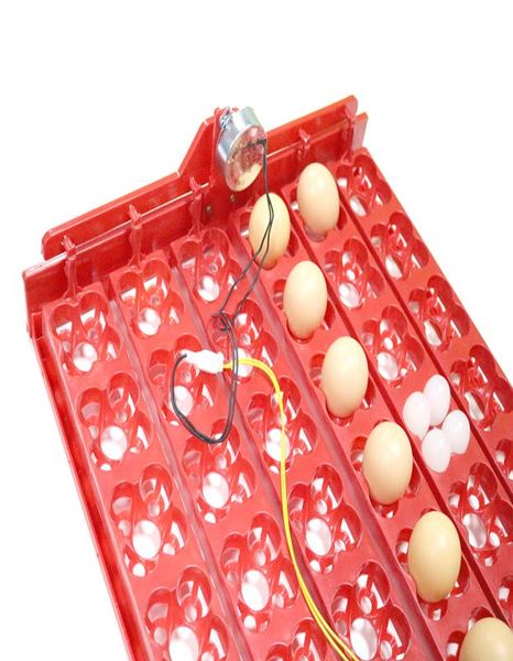 

1 240 прочие голуби лоток 144 перепела 25 и яйца куры утки r rpm parrot мин gooes или 36 инкубатор птицы bbysyg wrhome