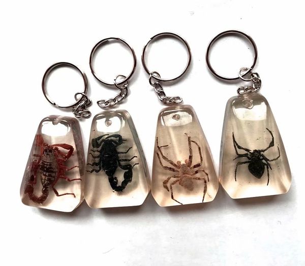 

yqtdmy 8 pcs fashion big size scorpion spider design charming keychain, Slivery;golden