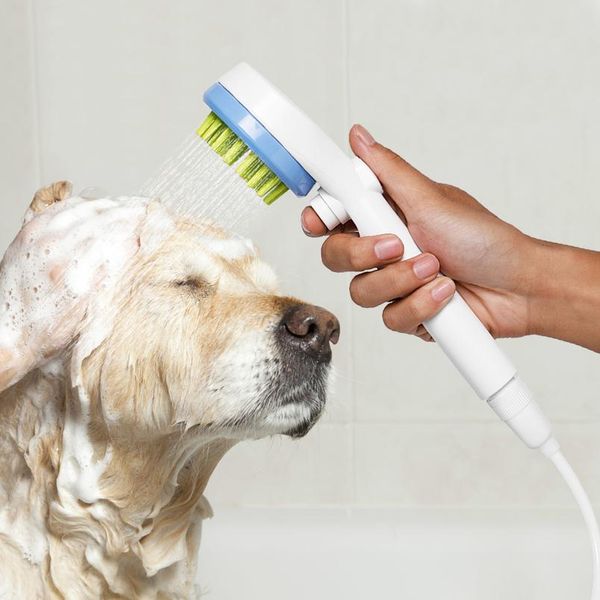 

pet bathing grooming tool comfortable dog cat massager shower tool cleaning washing bath sprayers dog brush comb pet bbyfap