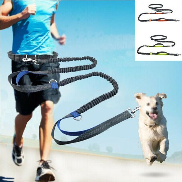 

reflective leash traction rope pet dog running belt elastic hands y jogging pull dog leash metal d-ring leashes1