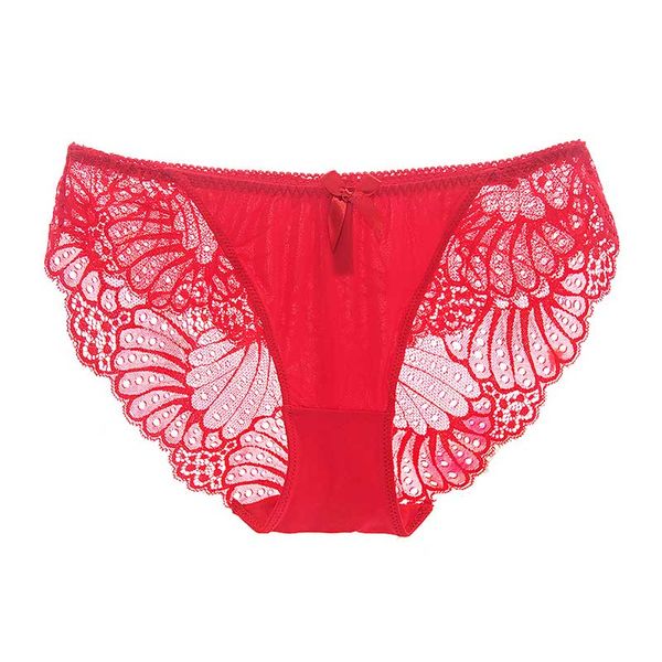 

women low butterfly transparent wing hollow lace waist women panties bowknot and underwear lingerie sandy will clothes briefs boxe maai