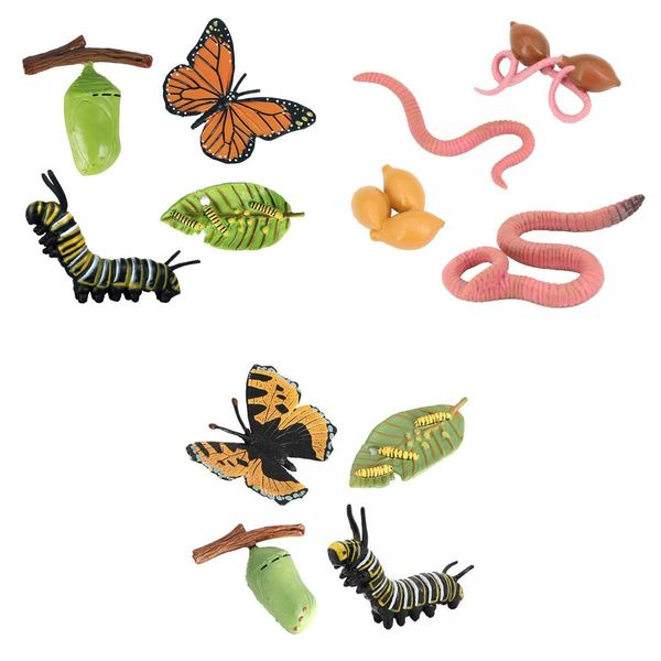 

3x realistic nature life cycle animal growth child education toys