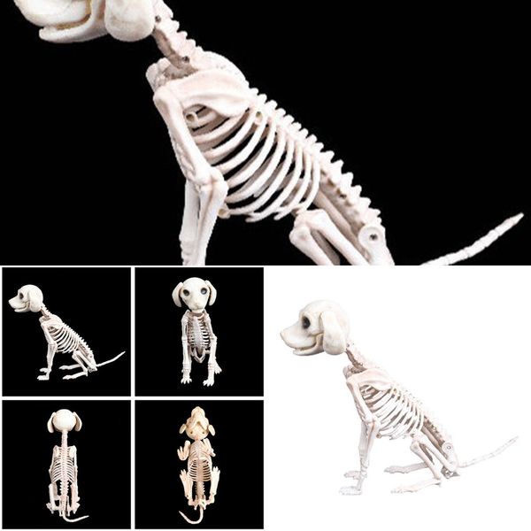

shop prop party animal bones dog skeleton skull halloween horror decoration props