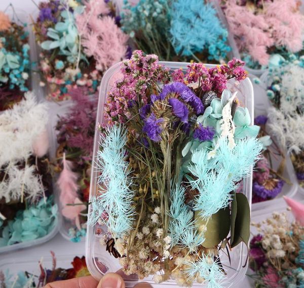 

real dried flower dry plants for aromatherapy candle epoxy resin pendant necklace jewelry making dried flower jllszt bdebag