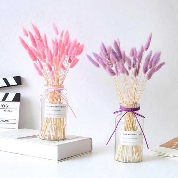 

красочные хвост длинный lagurus травы белый кролик искусственный foxtail природные поддельную bouquet 20pcs пучки цветы сушеные ovatus bbyig