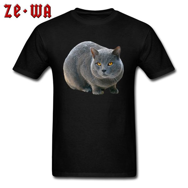 

sport halloween muzzy cat t-shirt men brand new design short sleeve clothing shirt round collar 100% cotton cute animal t shirt online