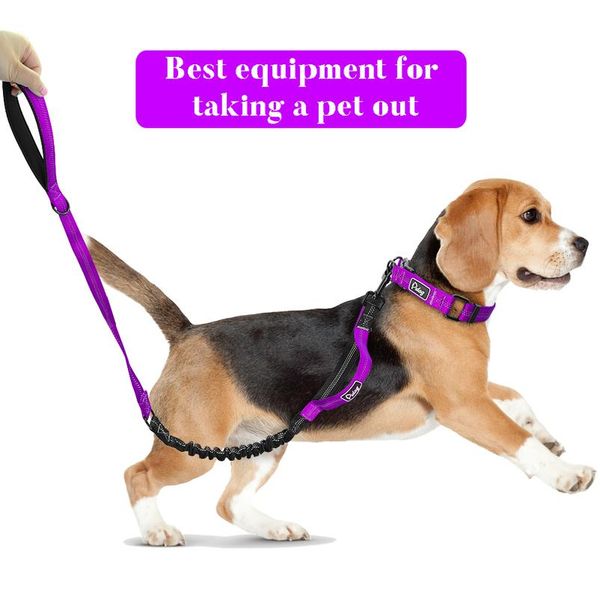 

dog collar perro nylon reflective pet puppy collars safety adjustable for small medium large dogs pitbull german shephe bbywcv