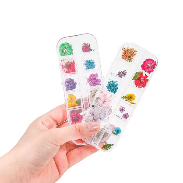 

1 box daffodil daisy real dried flower plant uv sile molds eternal preserved flowers for diy epoxy resin mold jewelr qylfjj