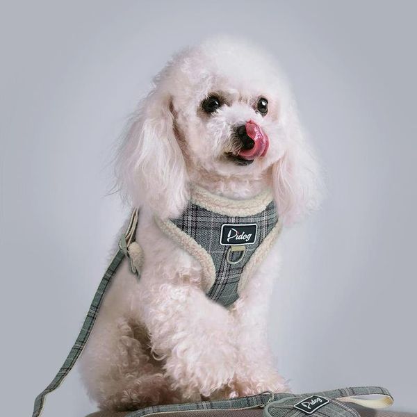 

мягкие домашние жгуты для собак жилет нет тяги регулируемый чихуахуа щенок щенок щенок поводка набор для маленьких средних собак пальто arn