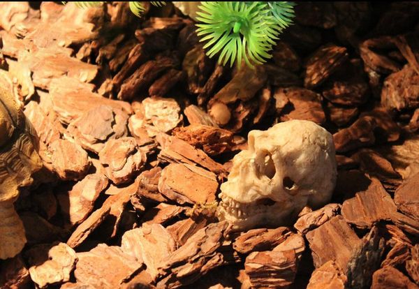 

simulation statue landscape ornament reptile cave artifical rhino sheepshead resin skull aquarium terrarium decor bbyyzv lg2010