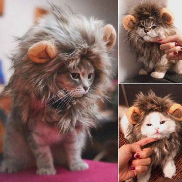 

funny and cute pet cat costume lion mane wig hat cat and dog halloween disguise with ears pet clothes christmas dress up