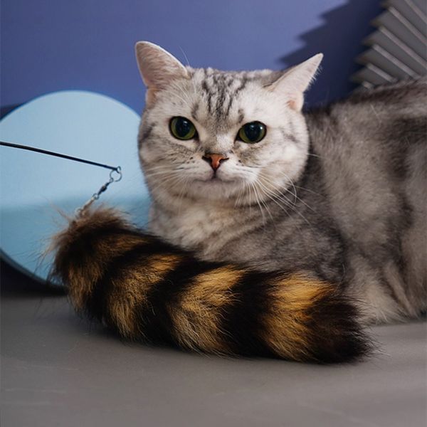 

toy retractable and interesting cat stick