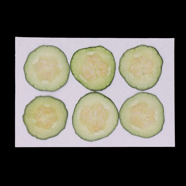 

6pcs dried pressed cucumber for diy scrapbooking crafts