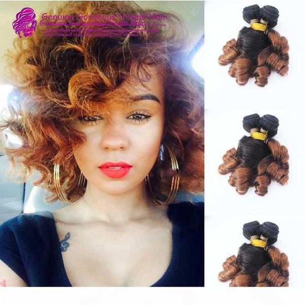 

peruvian funmi curl ombre human hair bundles funmi hair 100g bundletwo-tone #1b to #30 single drawn double layers hair wefts, Black