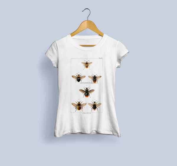 

british bee's ladies bee insect bee illustration insect print entomology entomology print vintage sport hooded sweatshirt hoodie t shir