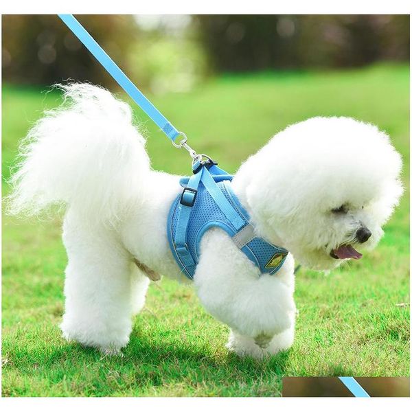 

waistcoat model dog harness leash set breathable mesh strap vest collar rope pet dog supplies lxj158 aubdh