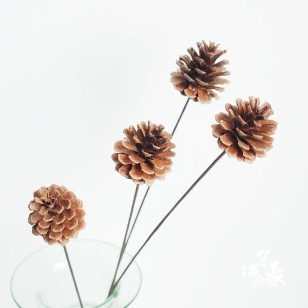 

5pcs dried pine cone flowers bouquets naturally pine cone bouquets pure bunches1