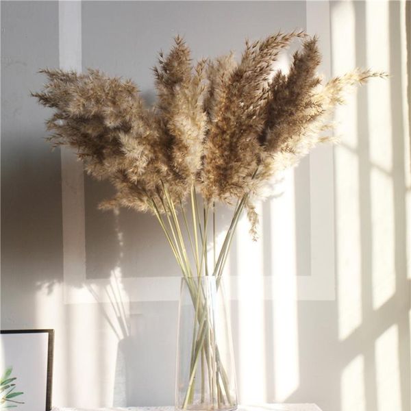 

10 шт. pampas trass настоящие сушеные растения декор свадебные цветочные букет натуральные растения декор цветы natura sqcpdb