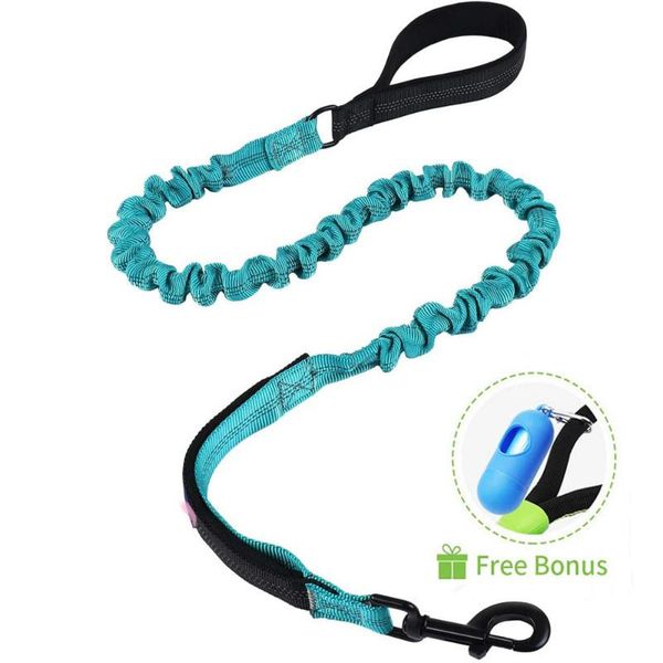 

dog collars & leashes leash bungee elastic 2 handle quick release cat pet leads rope training