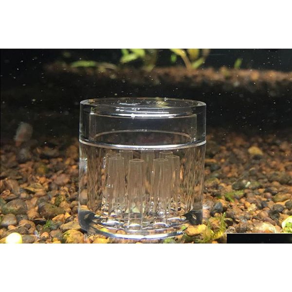 

8 hole snail trap transparent leech vivarium planarian pest catch pen red bee shrimp worm bait feeding box aquarium cleaner tool ydaln