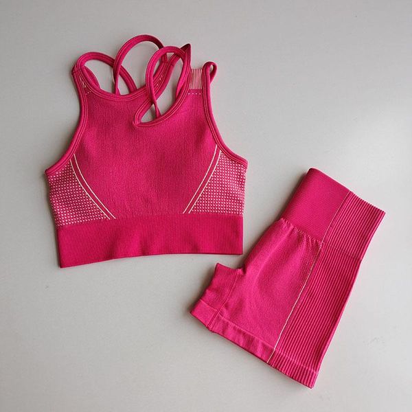 

2 piece set women tracksuit fitness clothing for women sport bra + fitness shorts gym clothing for women sets bbyhpe alice_bag