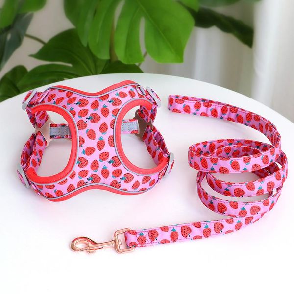 

new fashion nylon dog harness leash set reflective fruit printed dog vest leash for medium large dogs french bulldog bbypav