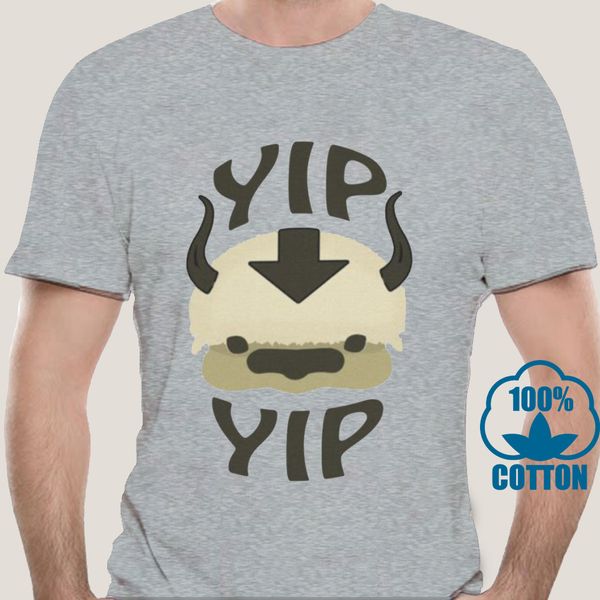

0493a tyburn yip appa t shirt fashion for male t shirts round neck avatar the last airbender tee shirt sport hooded sweatshirt hoodie