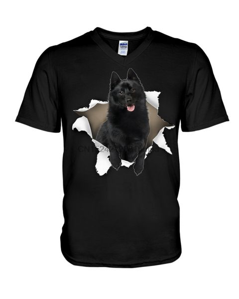 

sport men t shirt schipperke - torn(18) women tshirts