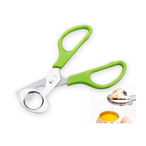 

stainless steel pigeon quail egg shells scissors bird cutter opener egg slicers cigar cutter ki sqchgh bbgargden