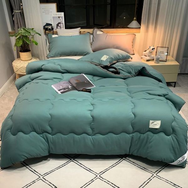 

winter thickening quilt duvets comforters cover king queen twin full size blanket filling cotton cover solid sanding