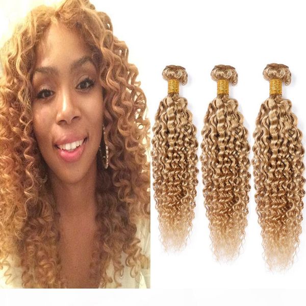 

#27 honey blonde brazilian curly human hair bundles kinkys curly virgin hair extensions light brown human hair weave wefts 3 bundle deals, Black;brown