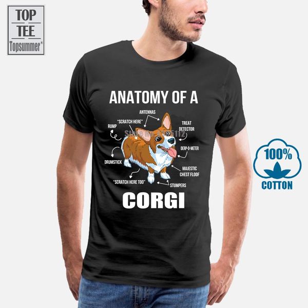

new summer fashion 's anatomy of a corgi funny dog printing machine short sleeve sport hooded sweatshirt hoodie t shirt