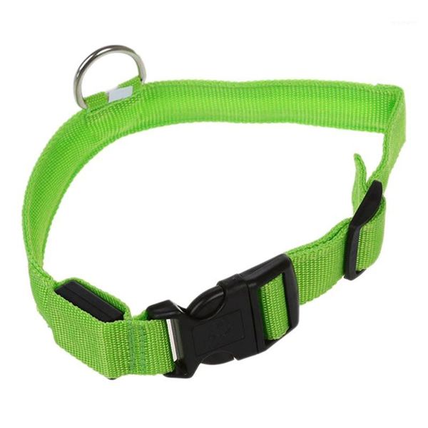 

dog collars & leashes led collar light up safety at night , durable pet for small/medium/large dogs as gift1