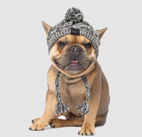 

woolen cap outdoor bulldog hat hats hat dog christmas small dogs pet windproof dog medium winter accessories pet for warm french wmtti