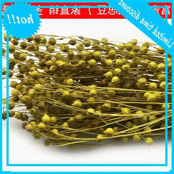 

yunnan diy with fugui immortal flower lover fruit acacia bean multicolor
