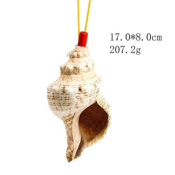 

natural conch whistle pendant shell spiral snail blowing whistle children's toy gifts survival tool souvenir instrument craft h jllmya