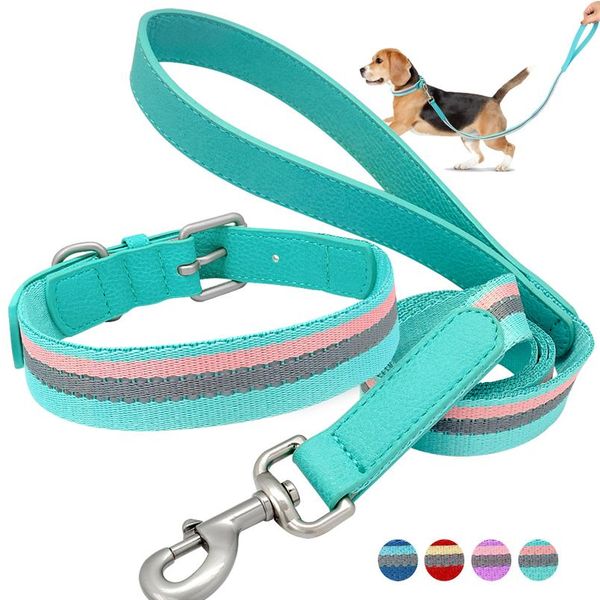

nylon dog collar and leash set adjustable reflective strip dog collars and pet walking lead leash for small medium dogs wmtpbs
