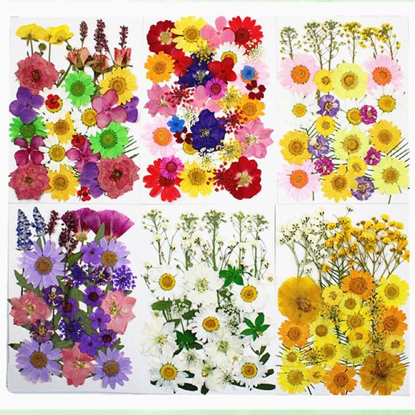 

pressed flowers mixed plants for dried flower painting diy bookmark ent 5 bags