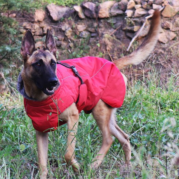 Abbigliamento per cani Giacca da esterno Impermeabile Cappotto riflettente per animali domestici Gilet Inverno Caldo cotone Abbigliamento per cani per cani di taglia media Labrador 20220110 Q2